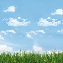 Prevalin Direct: was het maar weer zomer!