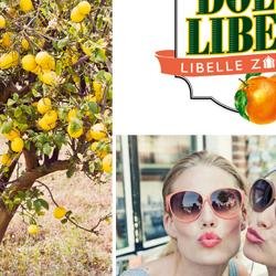 Win kaarten voor Libelle Zomerweek