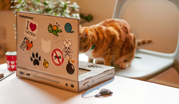Winactie: dierendag special! Cat Scratch Laptop