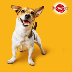 Test PEDIGREE® DentaStix™ óf DentaFlex™ voor je hond!