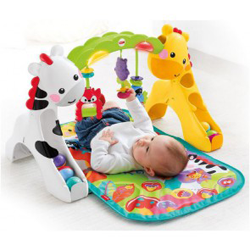 Test nu de Fisher-Price® Baby-tot-Peuter Speelgym!